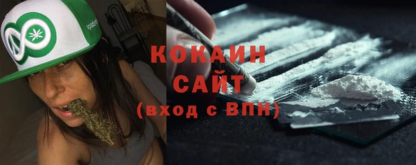 гашик Богданович
