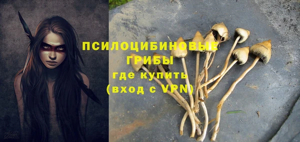кокс Баксан