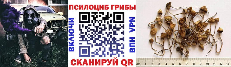 Псилоцибиновые грибы Magic Shrooms  где купить наркоту  Новомичуринск 