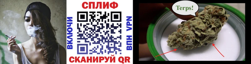 omg сайт  Новомичуринск  Конопля ГИДРОПОН 